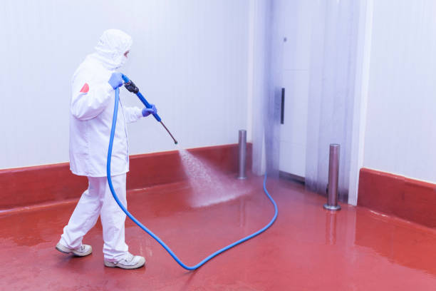 Best Patio and Deck Pressure Washing  in Timmonsville, SC