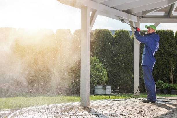 Trusted Timmonsville, SC  Pressure Washing Services Experts